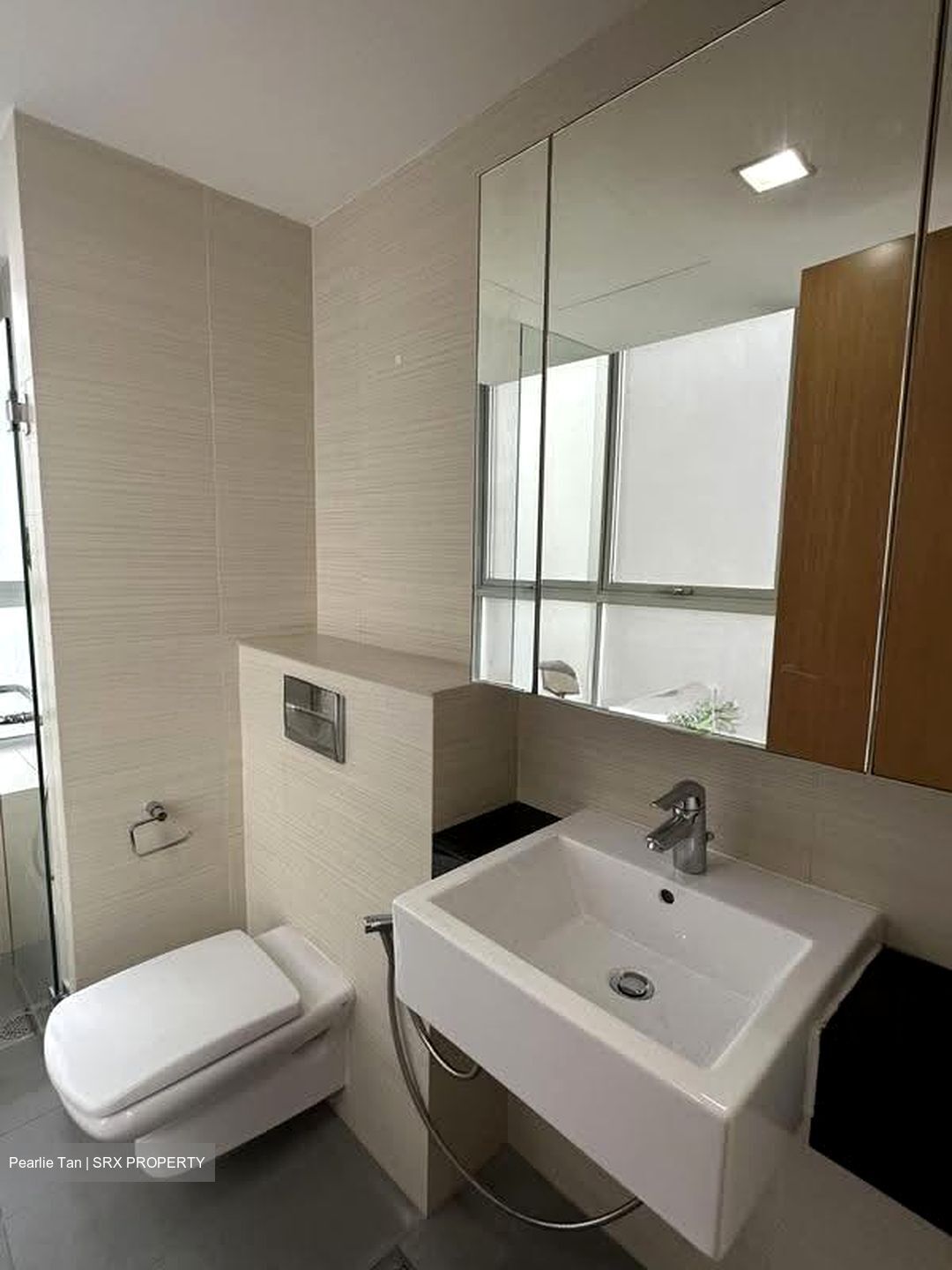 Oasis @ Elias (D18), Condominium #630690991